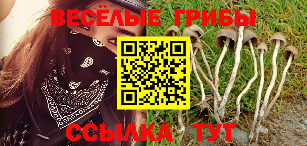 Галлюциногенные грибы мухоморы Обь
