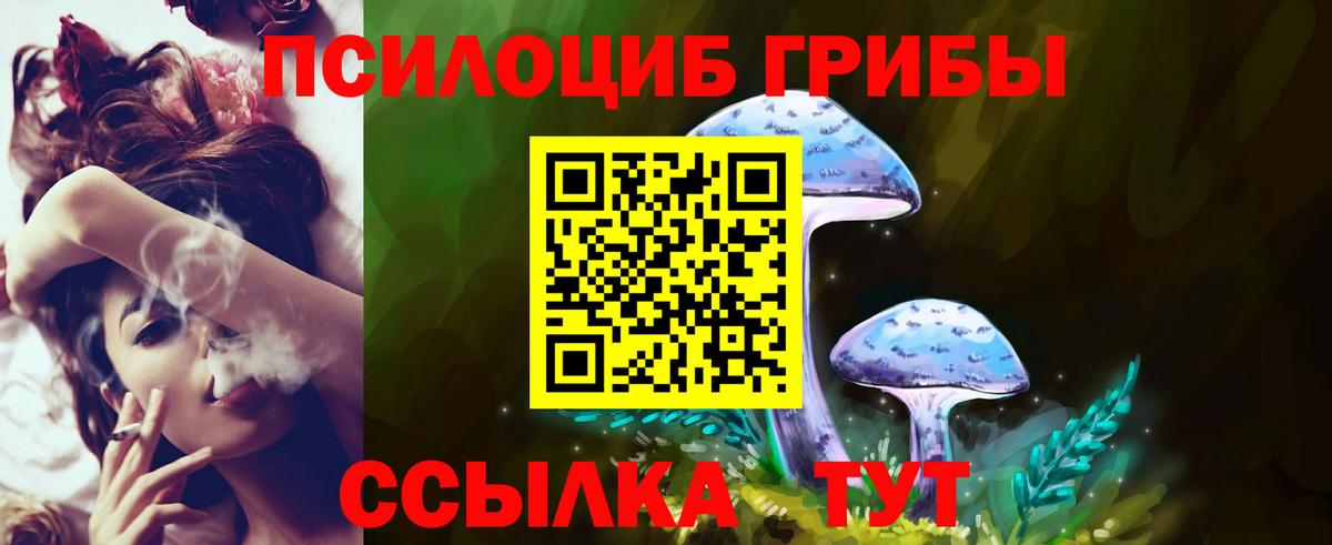 Галлюциногенные грибы Cubensis  Вход с VPN  Обь 